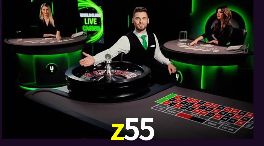Platform Technology z55
