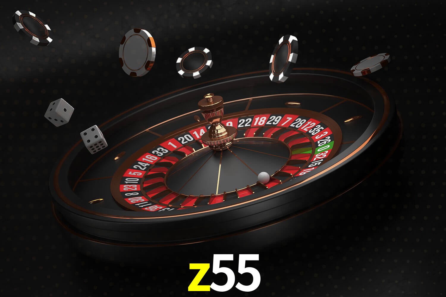 z55.com